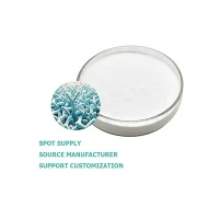 Bifidobacterium longum